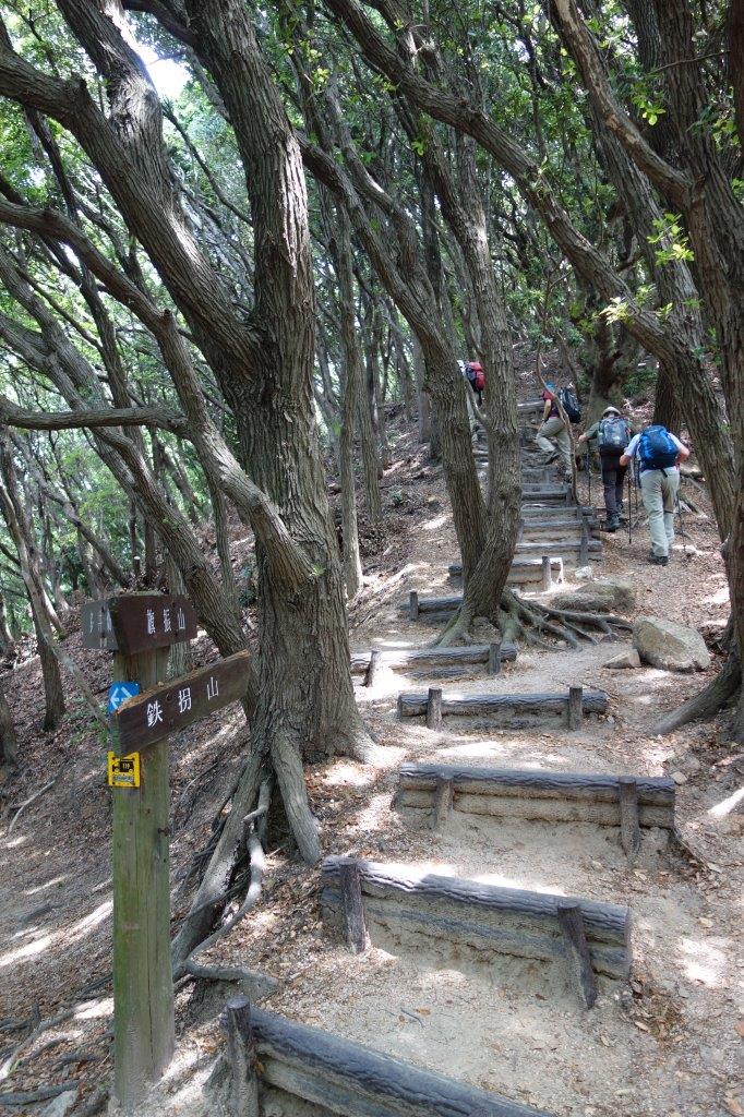 8. 鉄拐山手前の上り坂