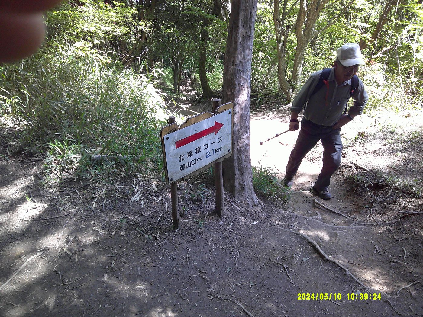 6．ダイヤモンドトレールに合流