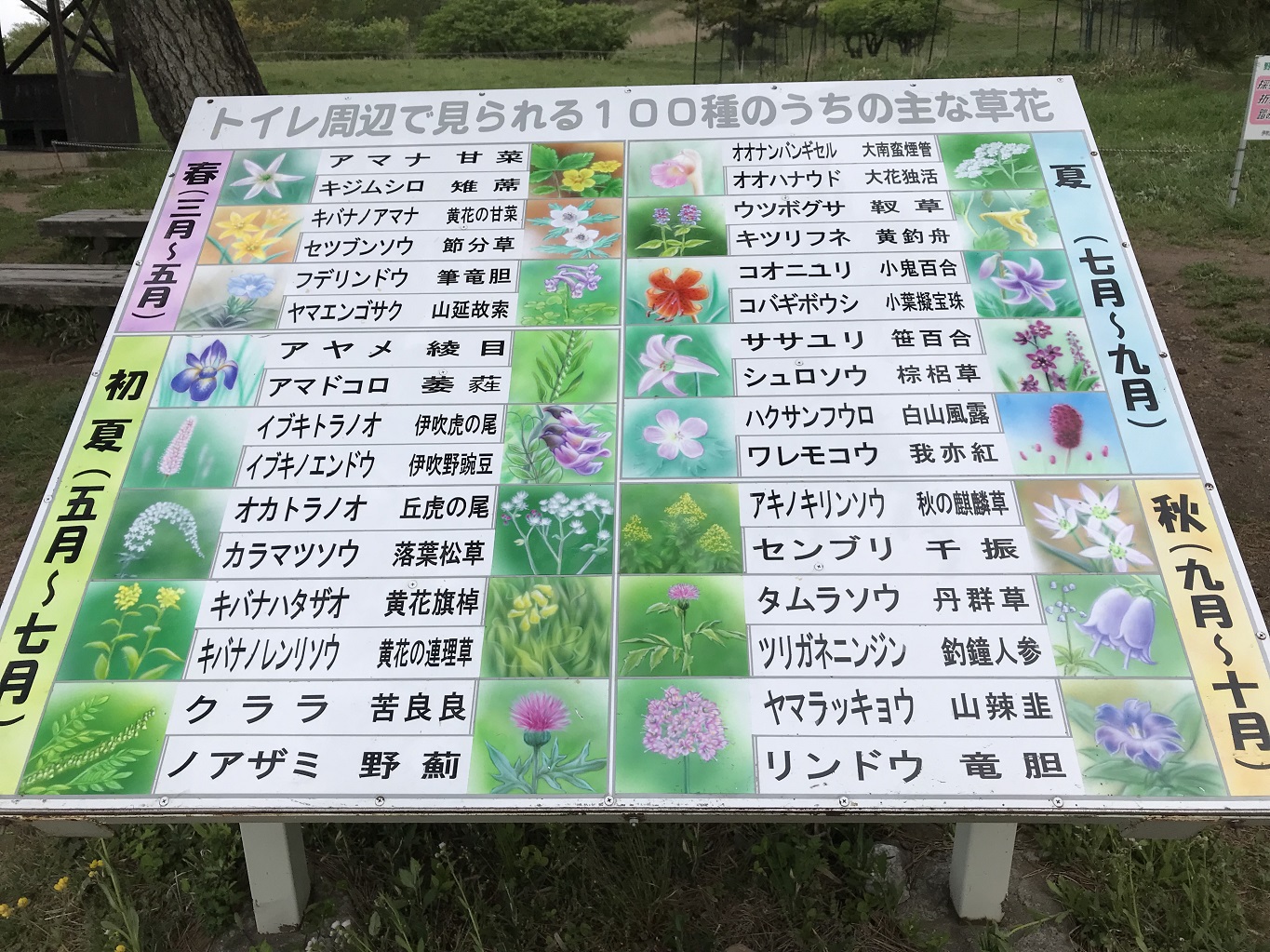 2. 三合目付近の花の紹介板 - コピー