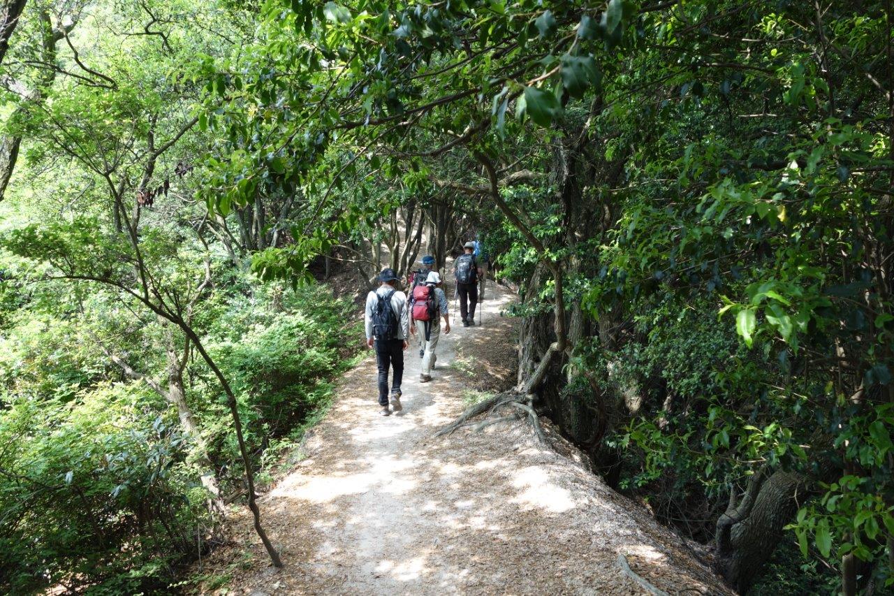 16. 栂尾山から横尾山へ向かう