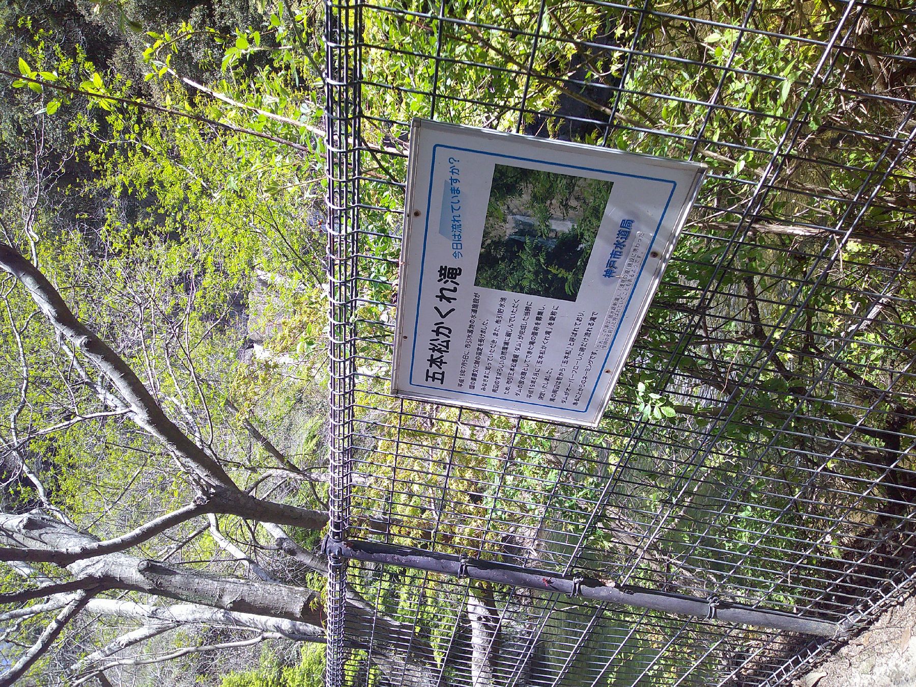 7．五本松かくれ滝