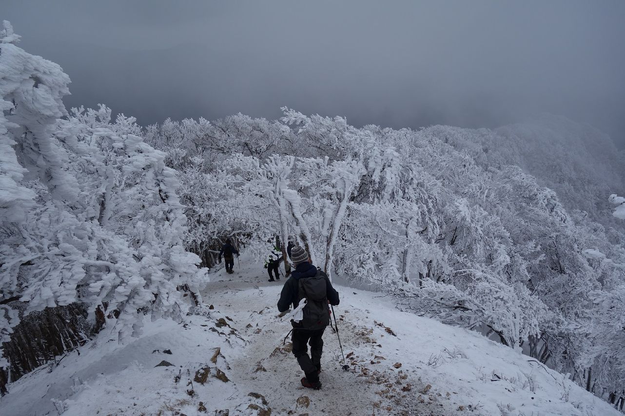 １８．帰りは登って来た稜線を下っていく