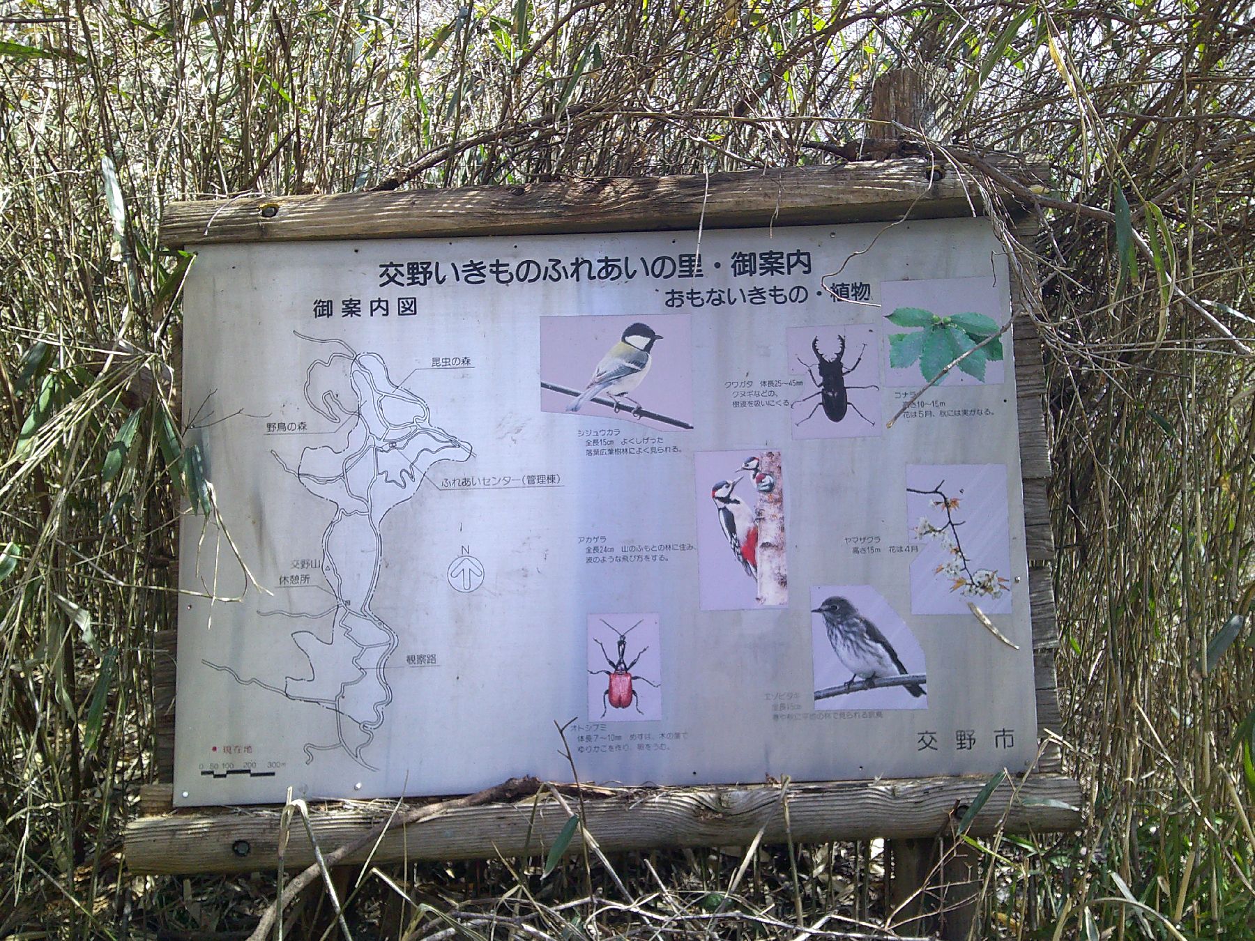 5．交野いきものふれあいの里