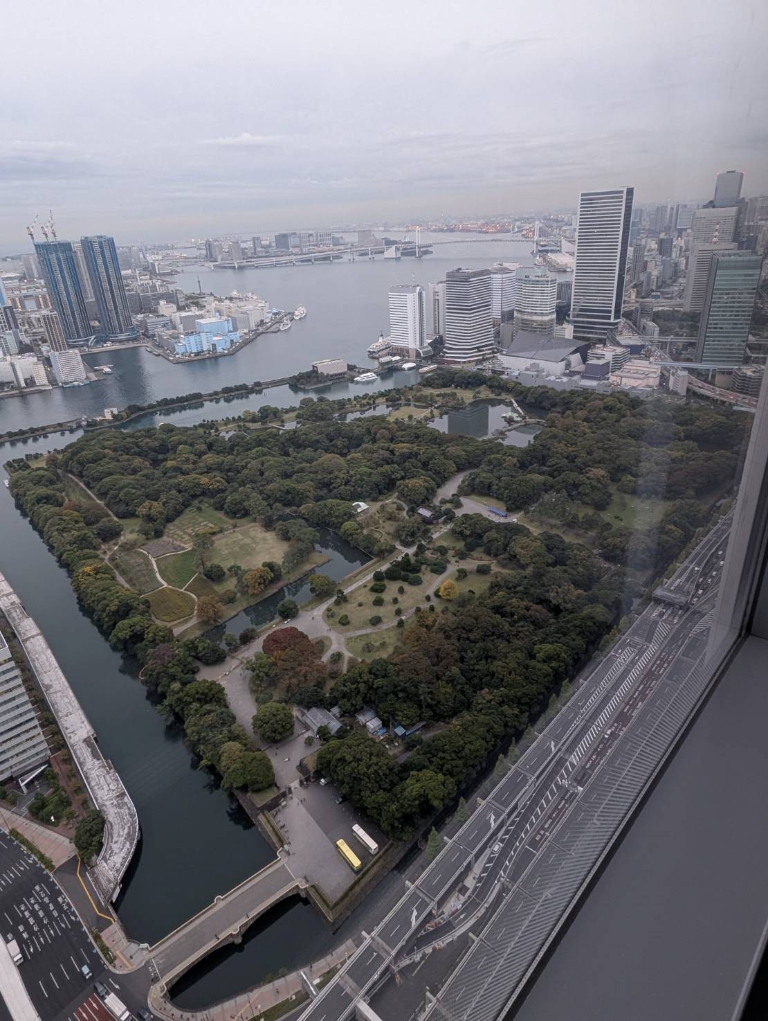 東京支社から恩賜庭園を望む