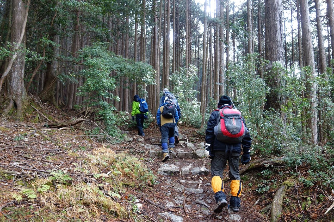 ３．ゆっくり登っていく、まだ雪はない