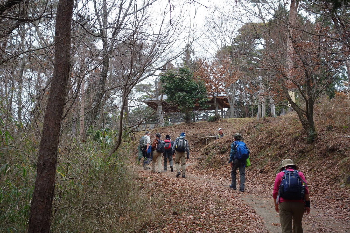 8. 歌垣山（男山）に着いた