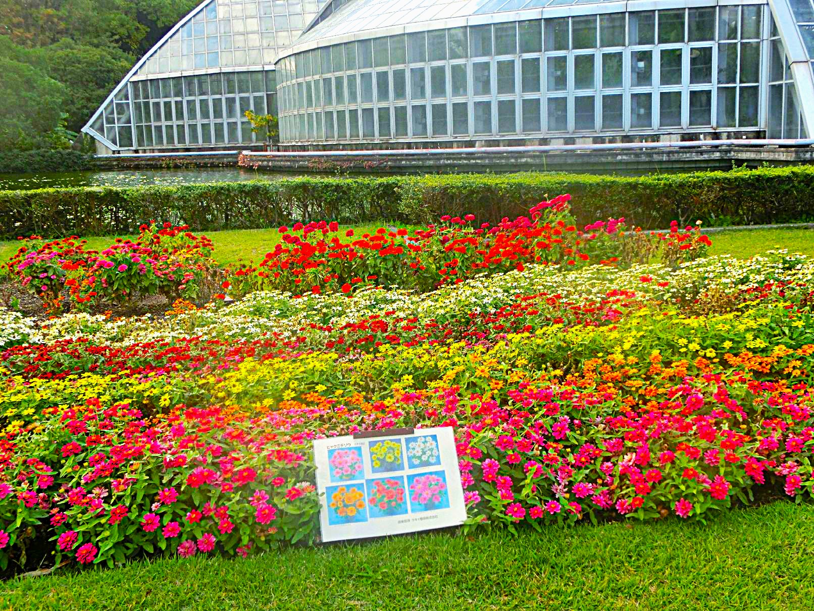 ２２．美しい花園