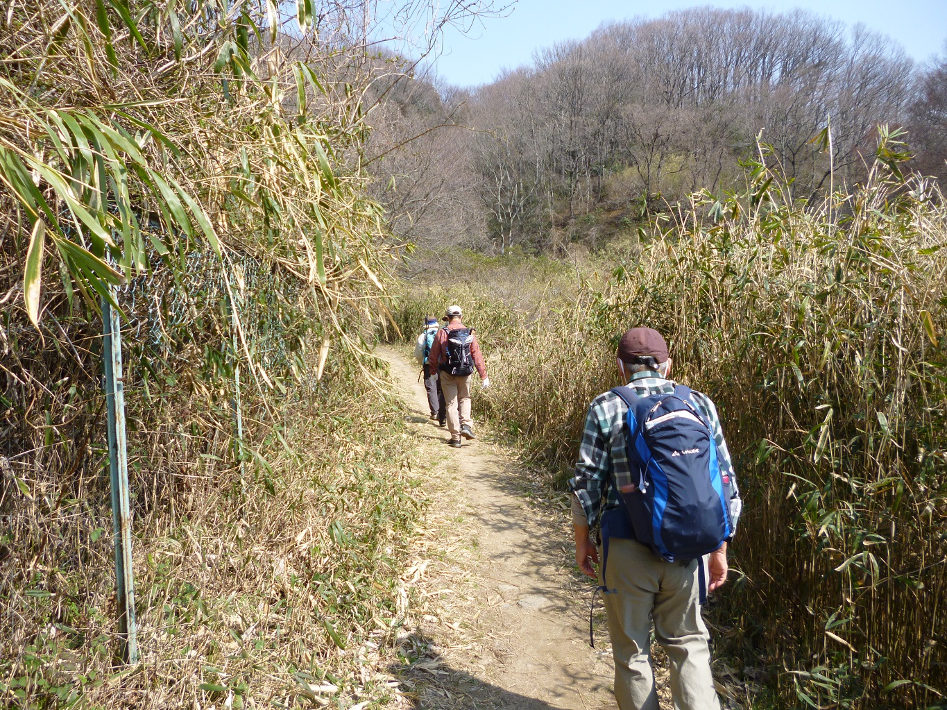 18. 霊園沿いの笹が茂る道を歩く
