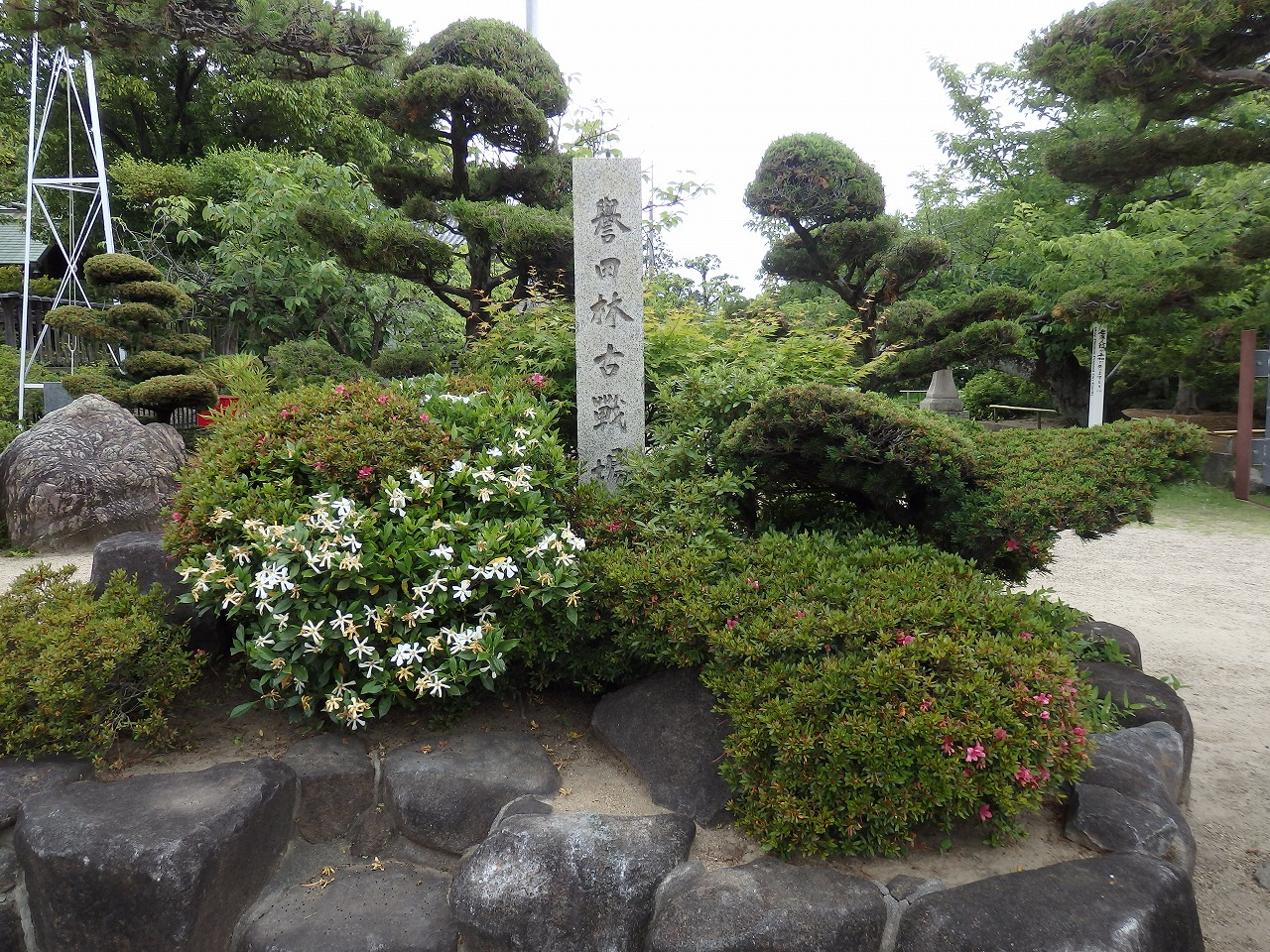 ㉓誉田林古戦場の碑（楠木正行が出陣したそうです）