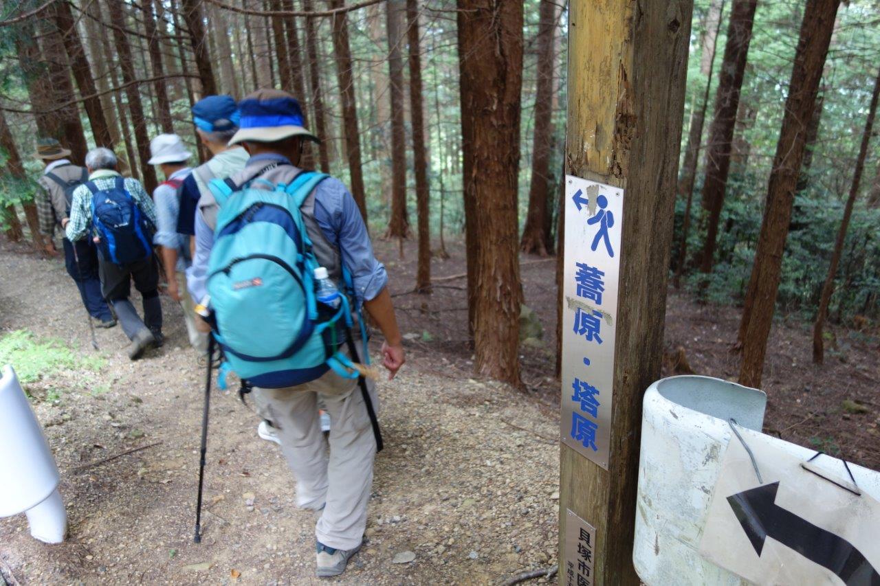 31. 蕎原の表示を追って下りる