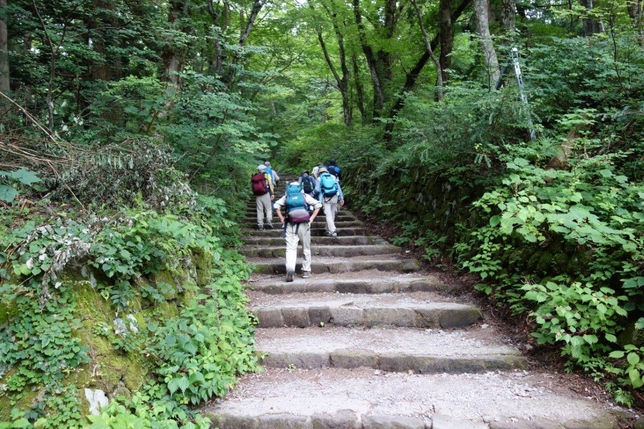0737 大山寺敷地内の石段を登っていく
