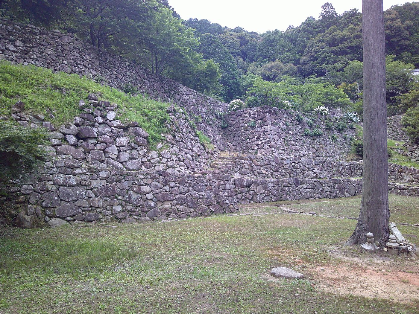１８．アジサイが美しい石垣