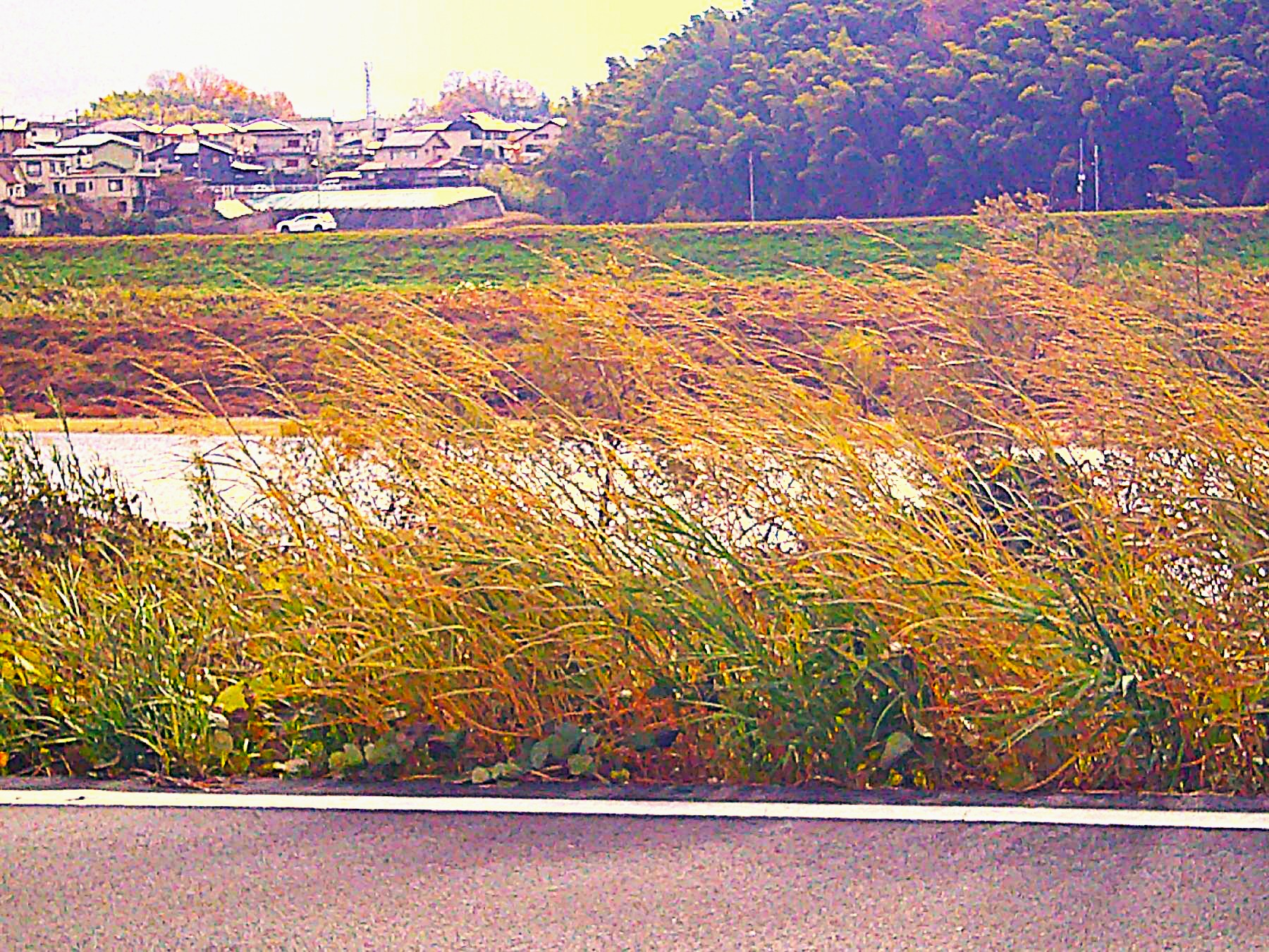 2．大和川
