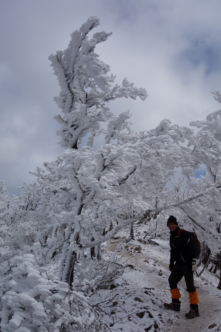 12. 稜線の大きな樹氷