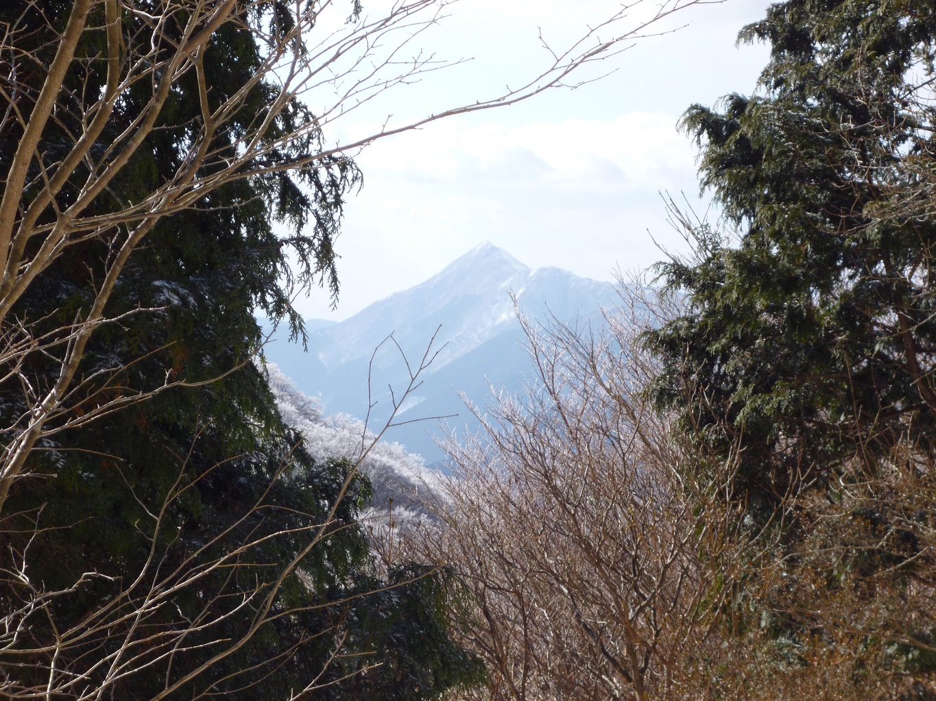 25. 八丁平付近から望むピラミッド型の高見山