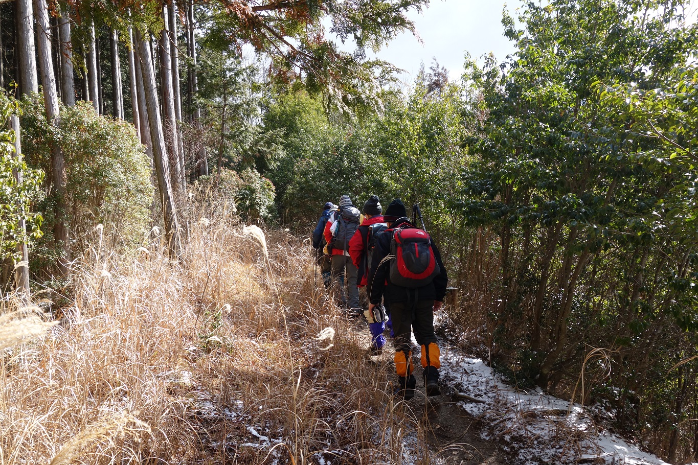 3. 陽が当たる中、虱とりを過ぎる