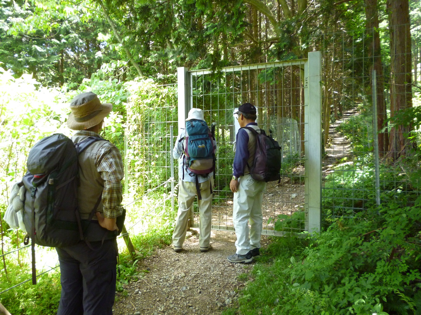 12. 防護柵の扉を開けて入山