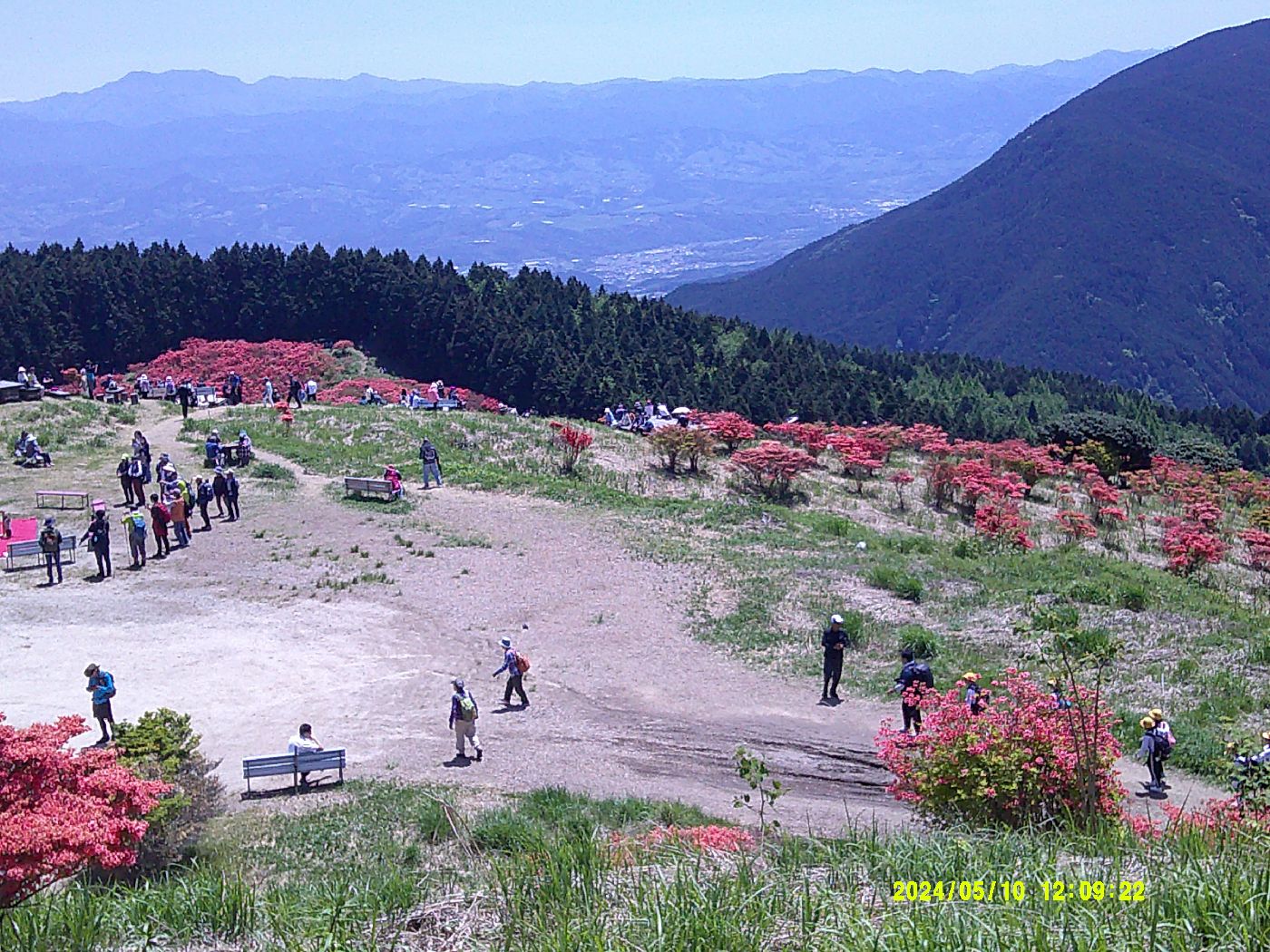 １５．山頂からツツジ園を望む
