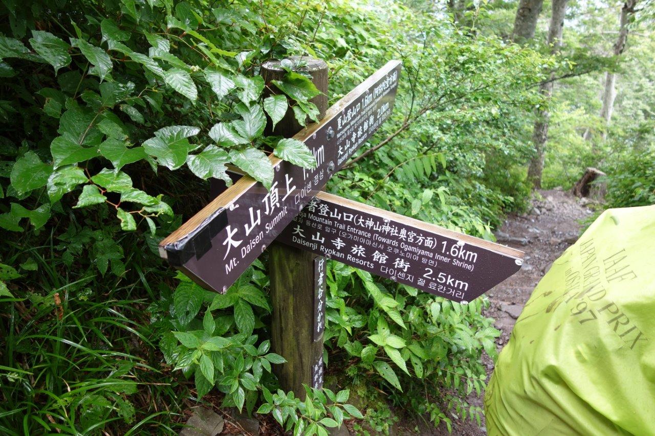 1303 行者谷分かれ、ここから行者登山道へ