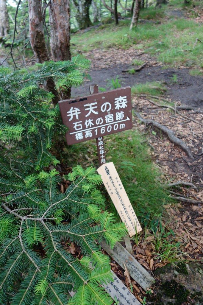 16. 弁天の森1600m に到着