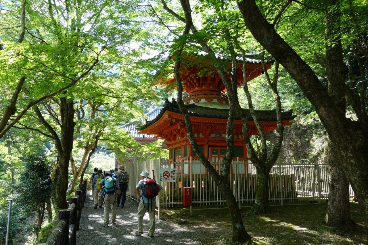 7. 重要文化財の多宝塔を過ぎる