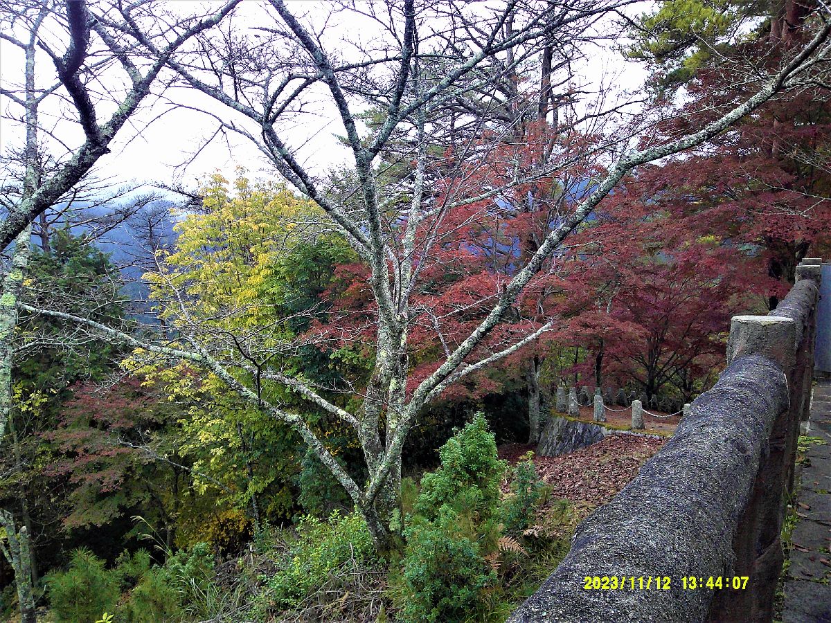 ２６．高城山展望台から望む紅葉
