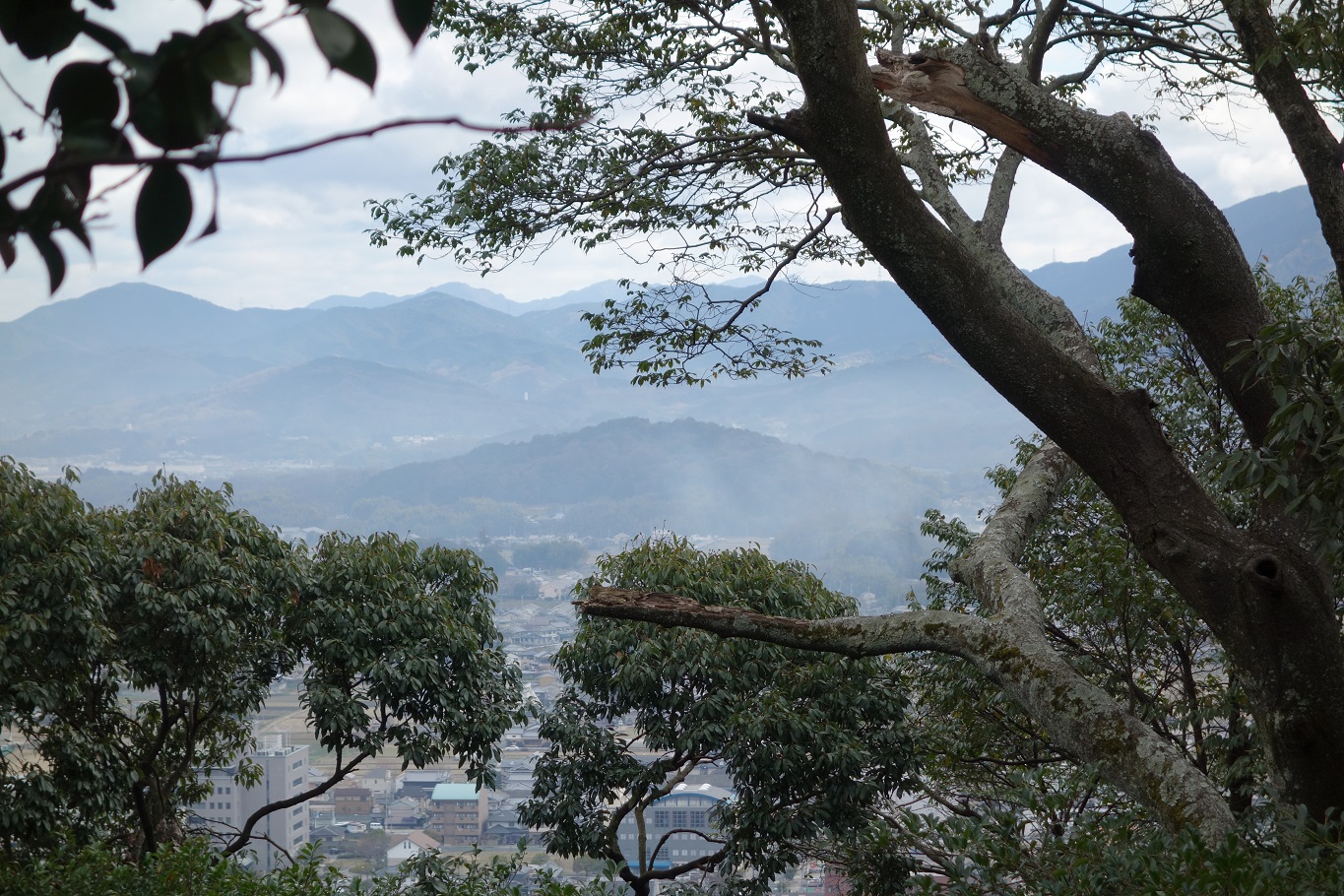 7. 畝傍山から見る天香久山
