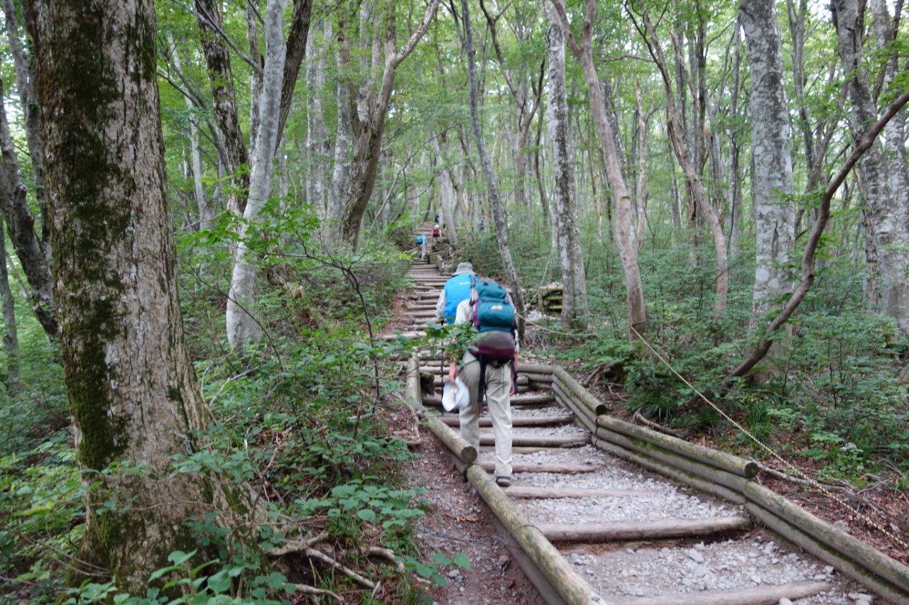 0759 丸太で土留めした道を登っていく