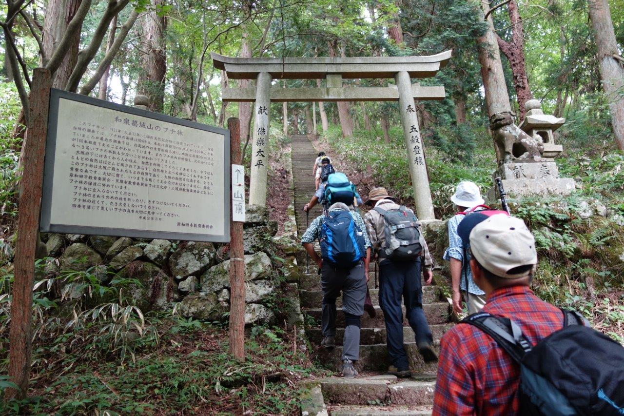 21. 山頂に向かって石段を登る