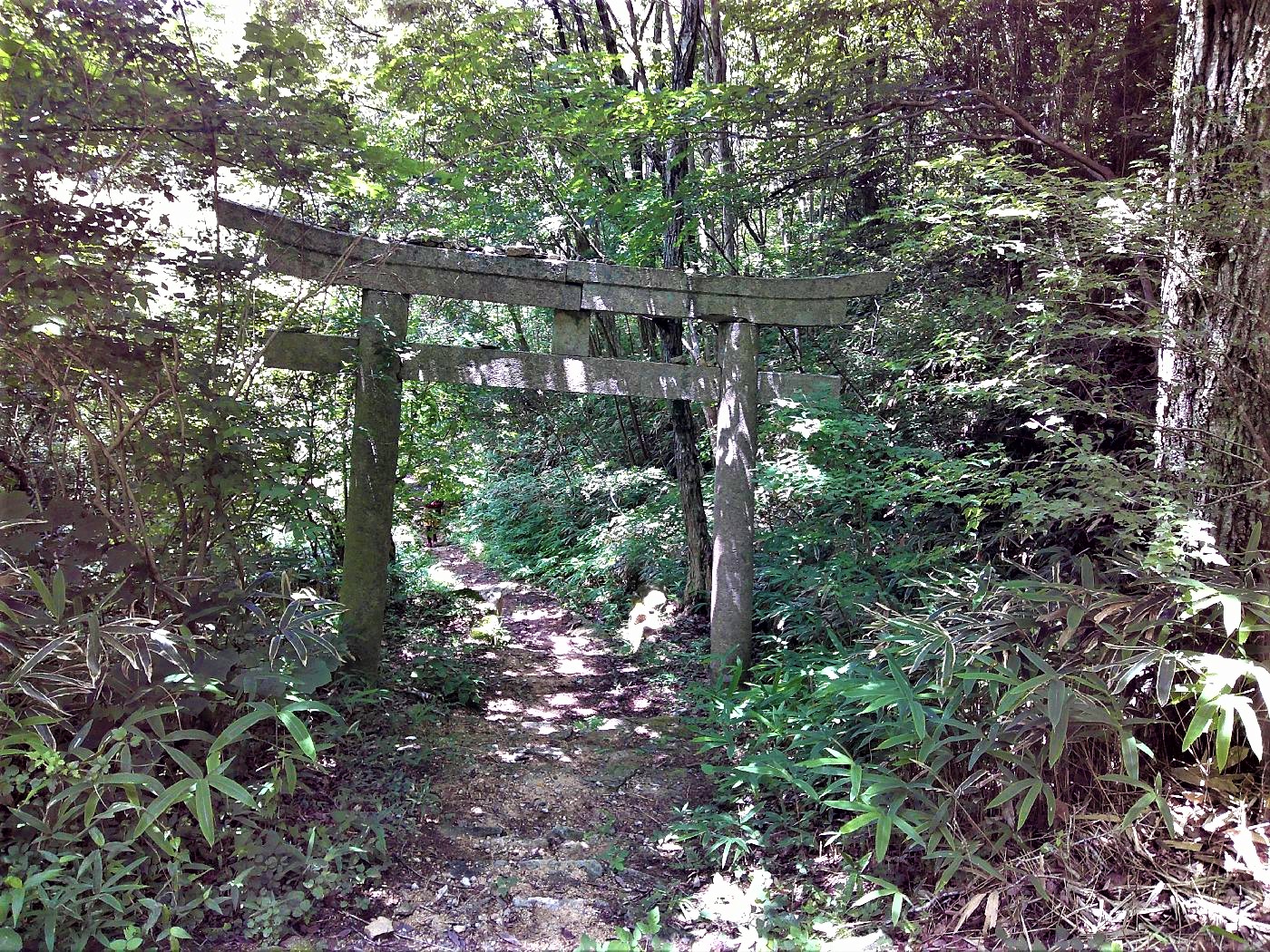 １６．鳥居をくぐる