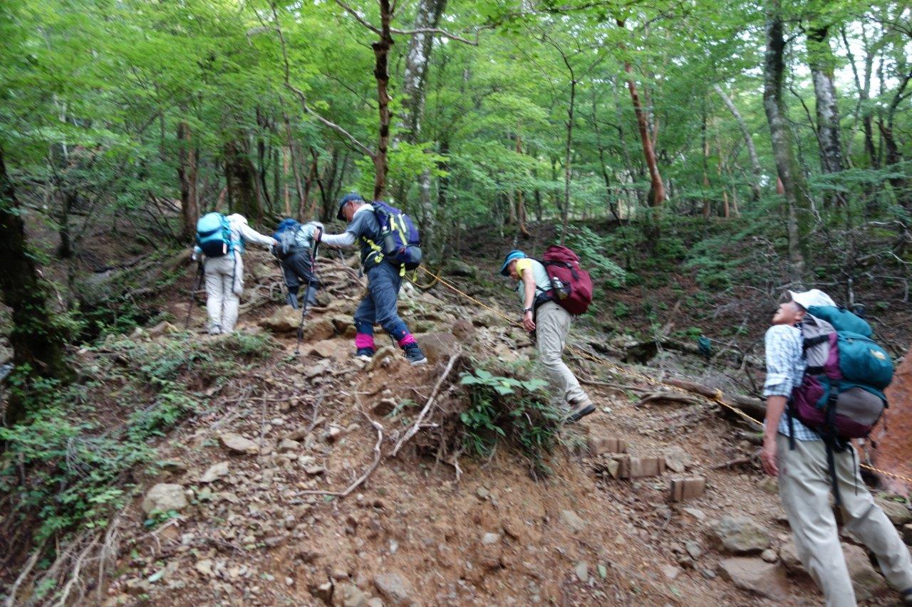 9. 湿度高く、汗だくで登る