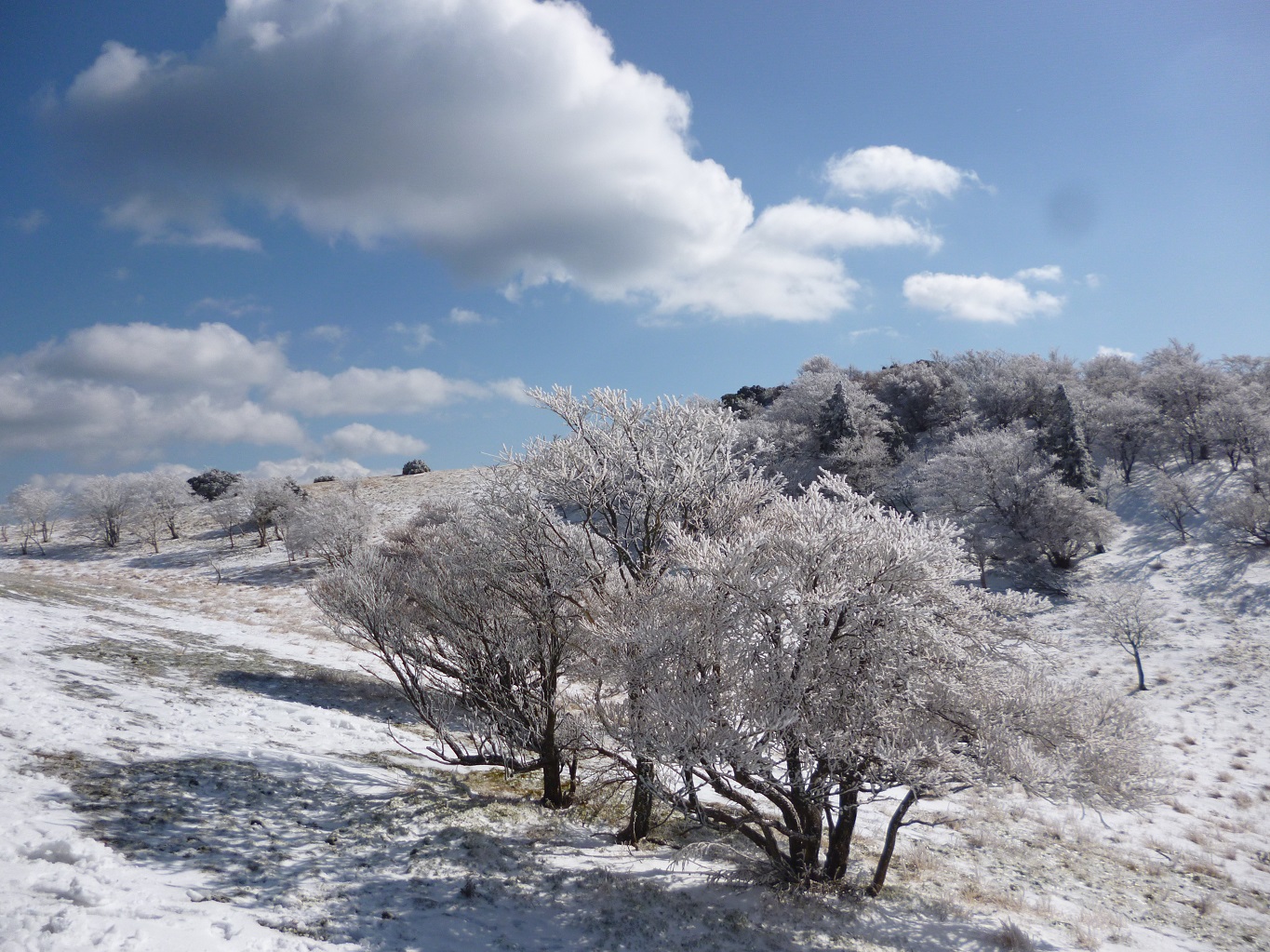 24. 八丁平付近の雪化粧