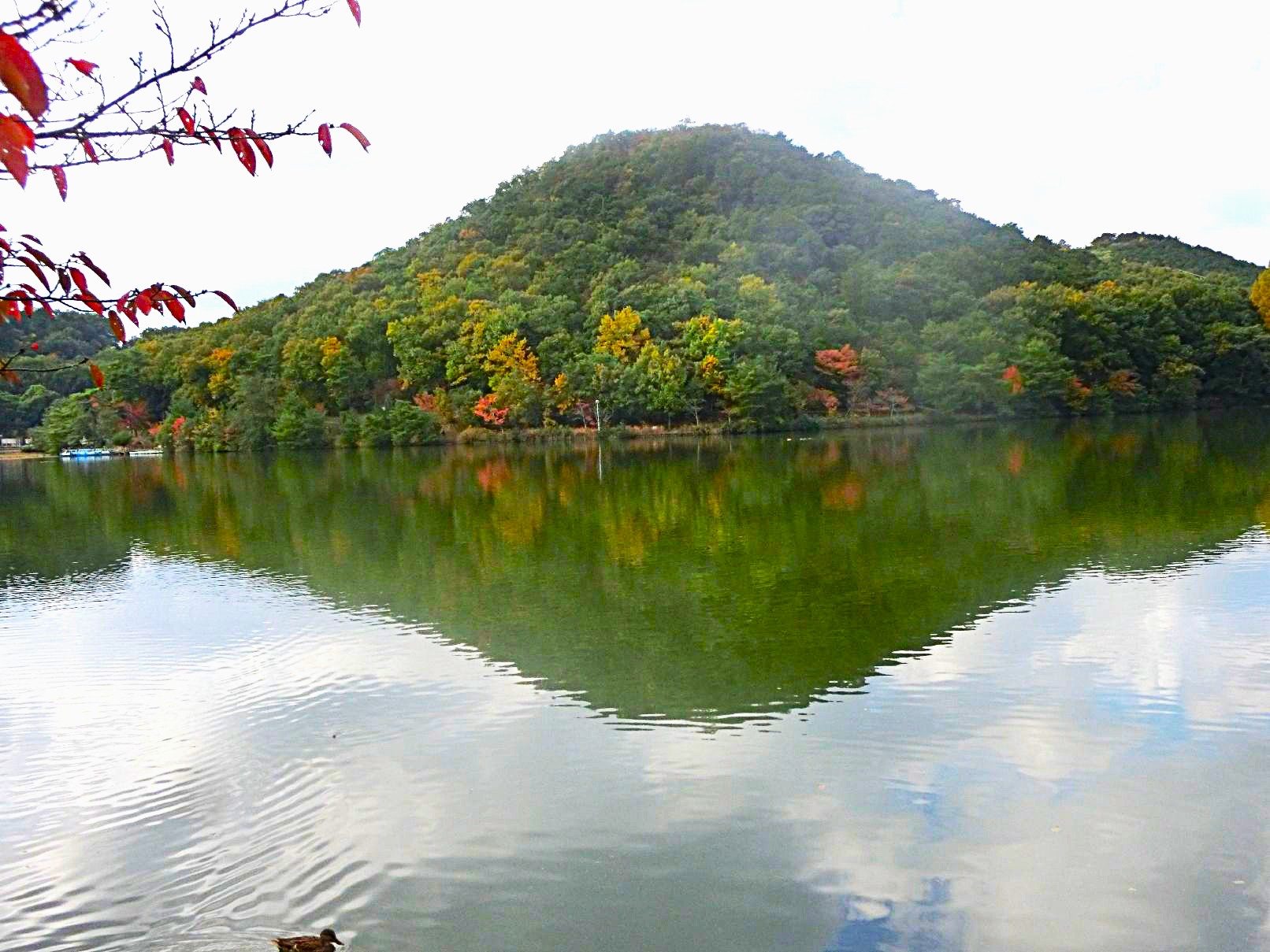 ９．宝ヶ池の逆さ富士