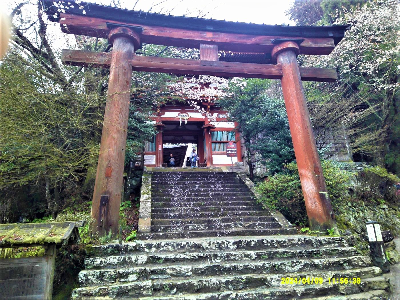 １６．吉野水分神社の鳥居