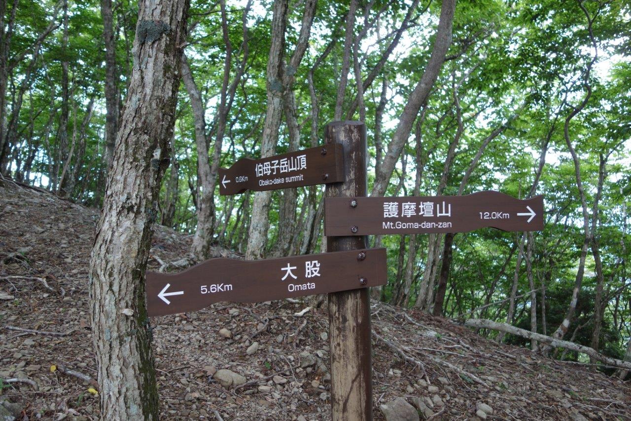 17. ここから最後の上り