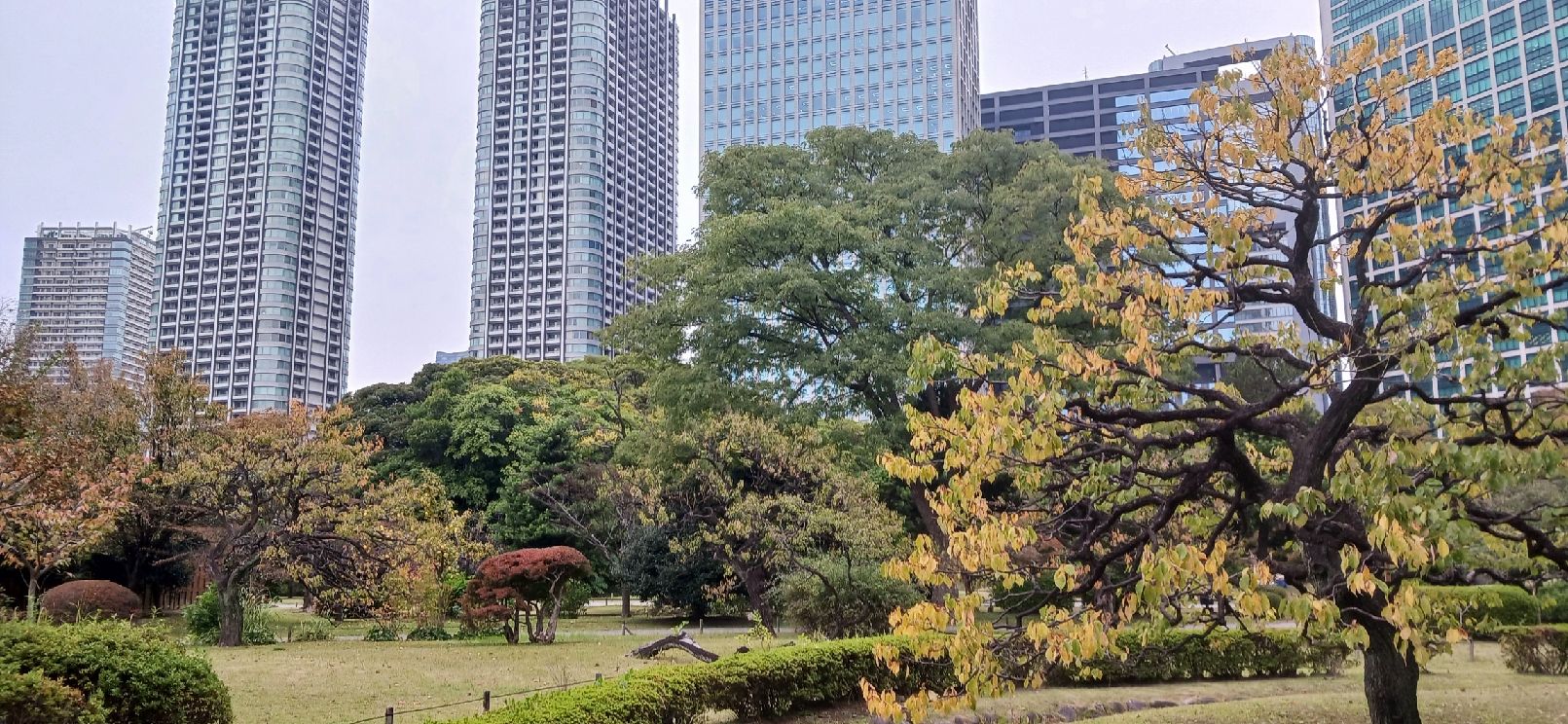 紅葉も綺麗でした