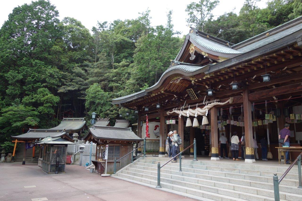 7. 本殿左端の鳥居が登山口