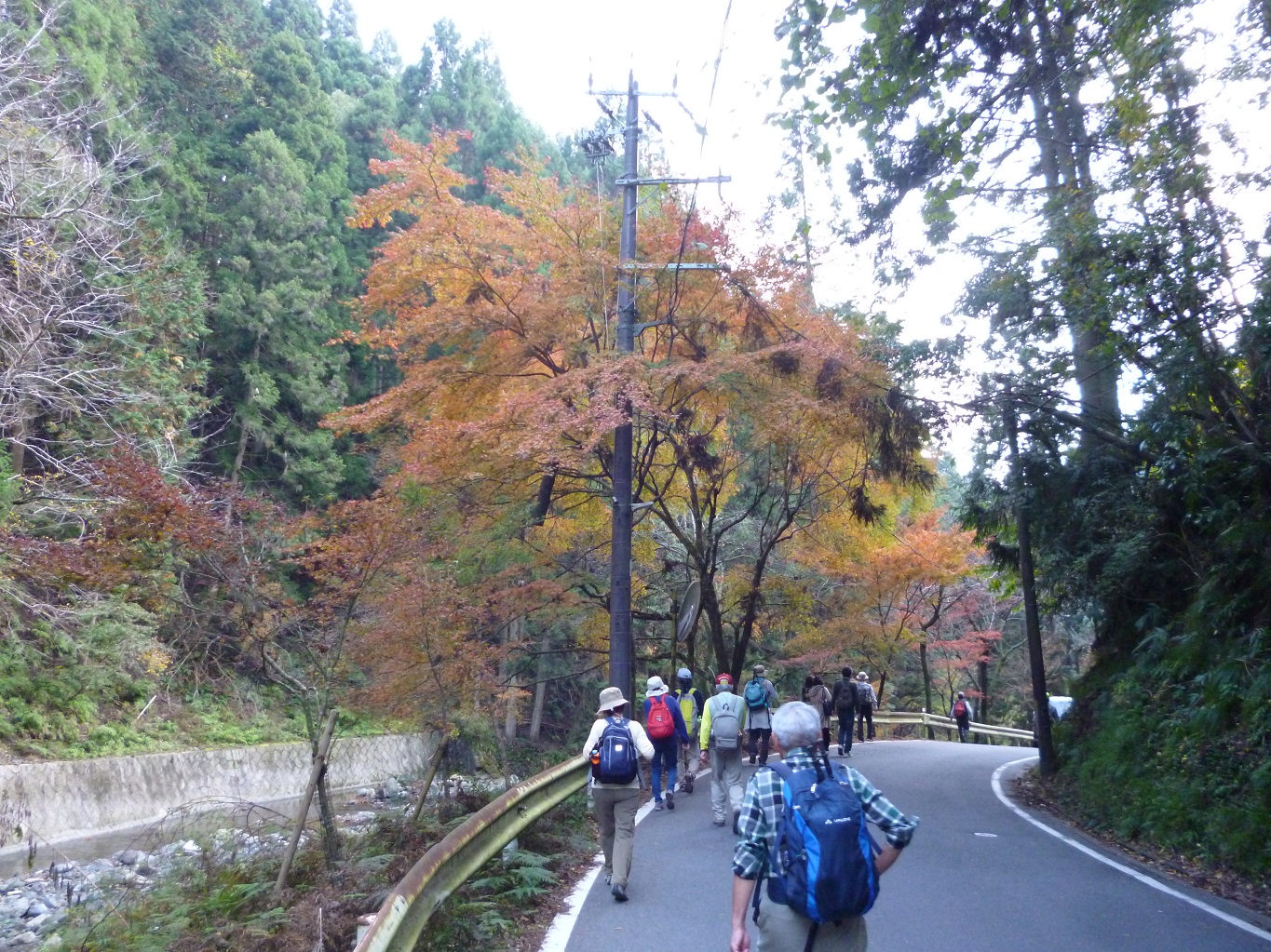 18. 紅葉の道を貴船口駅に向け下る