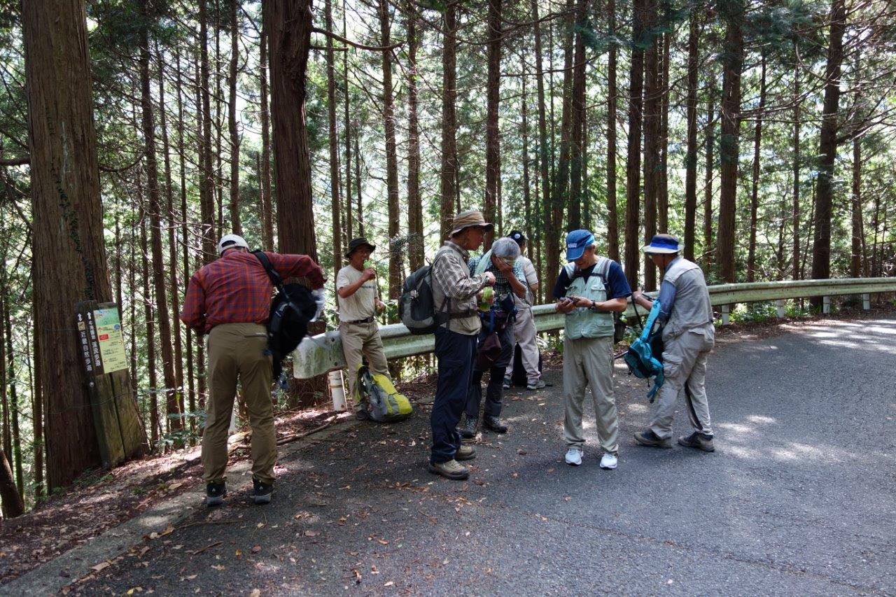 10. 滝を過ぎ、林道に出る