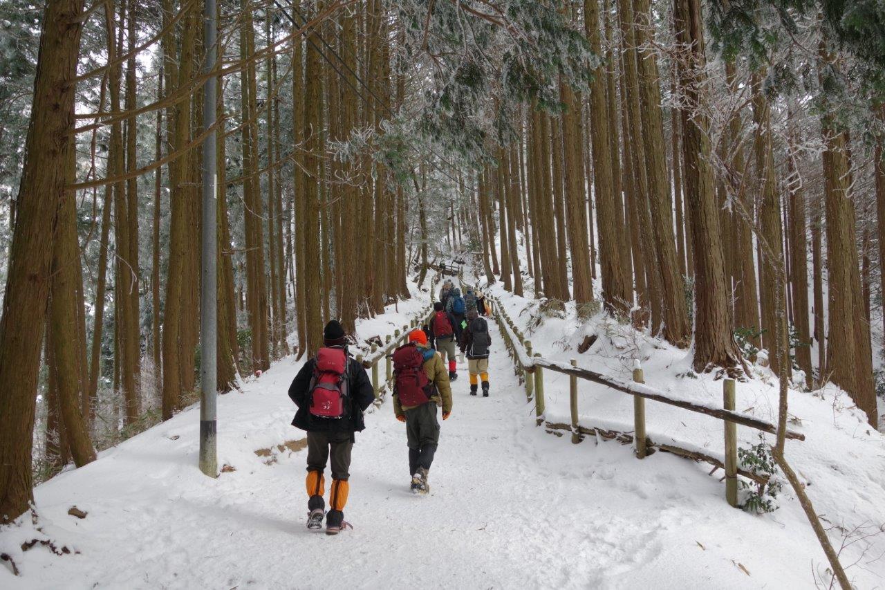 9. 四合目あたり