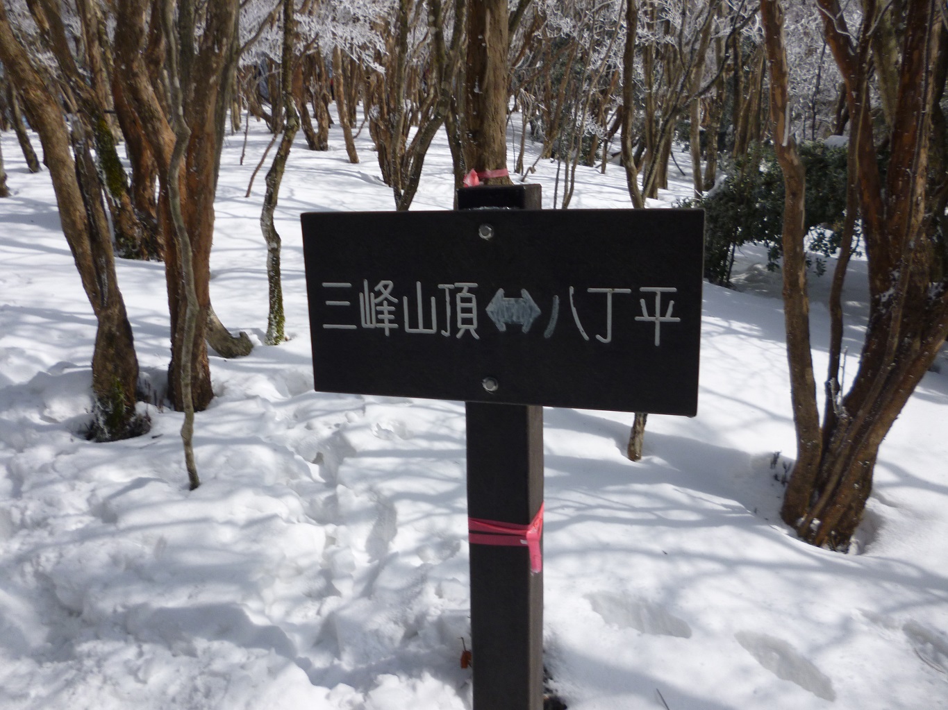 15. ここを左折