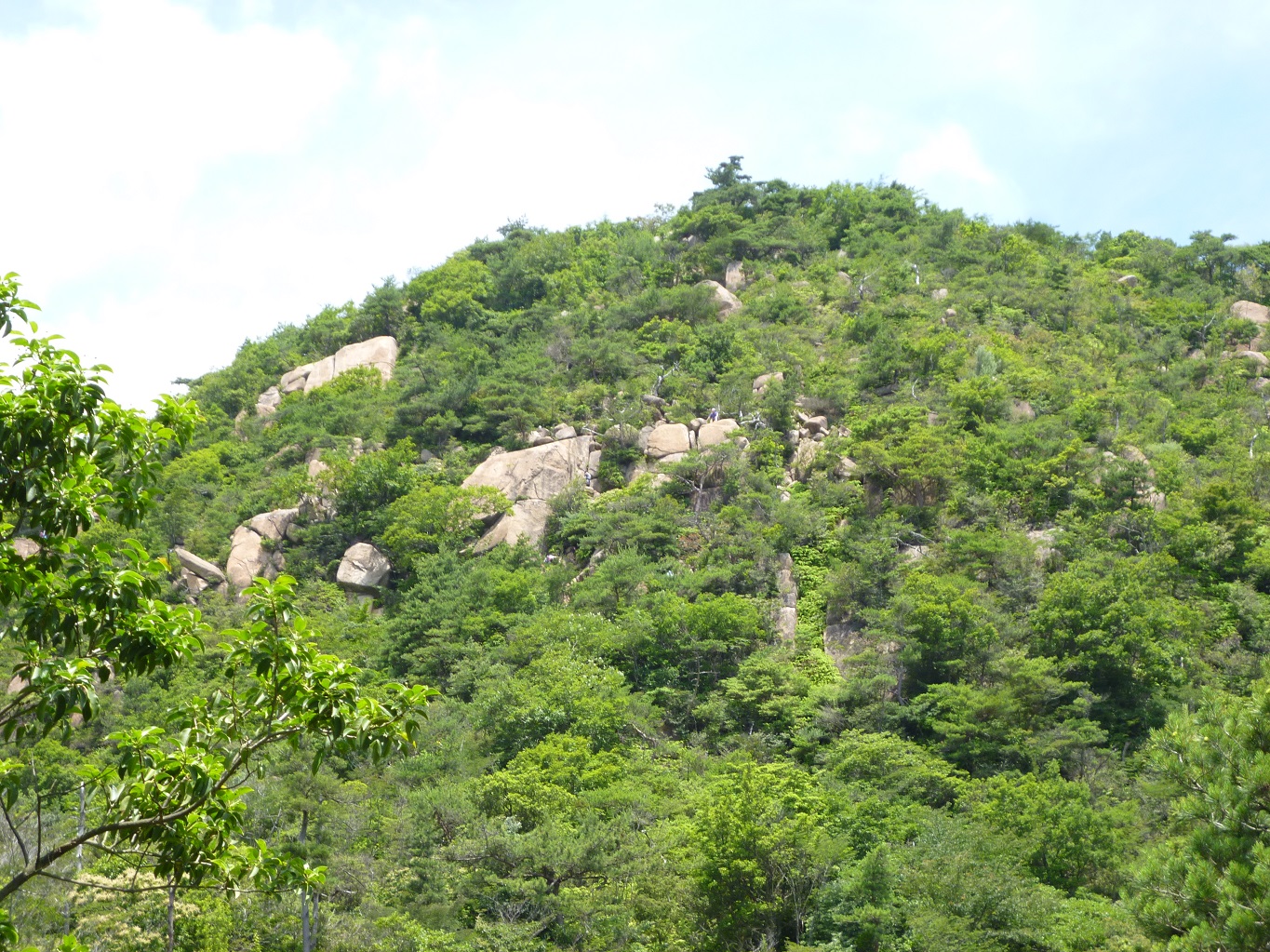 6. 鉄塔を過ぎ、見上げると荒地山の露岩