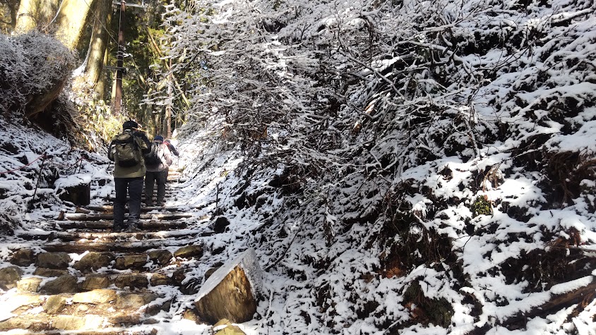 １３．樹氷も美しい