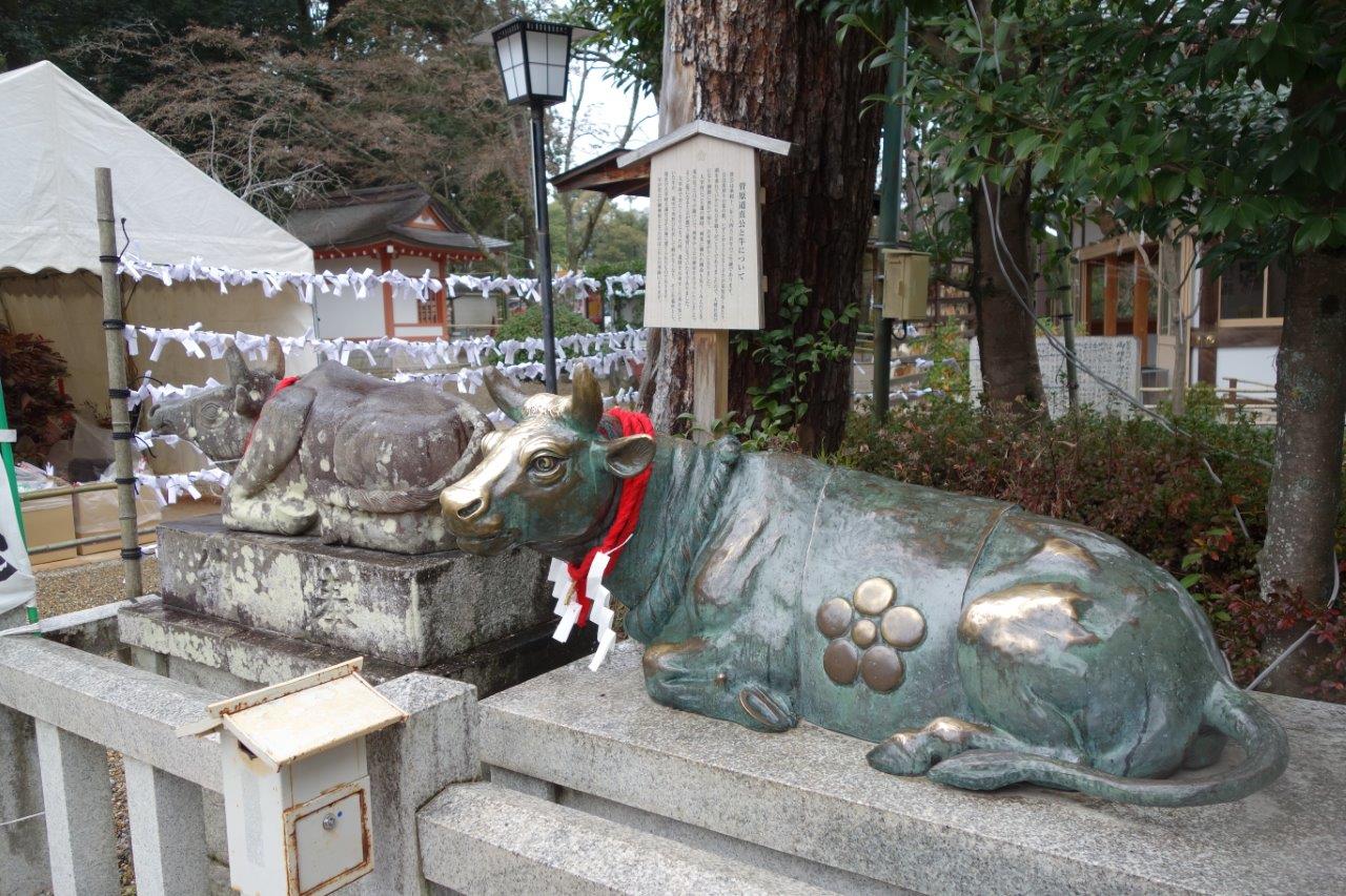 5. 牛は菅公の御神使