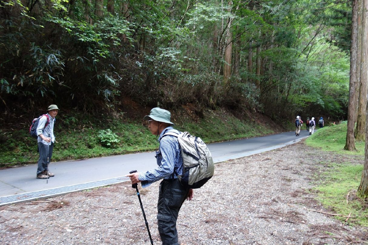 １８．林道に合流