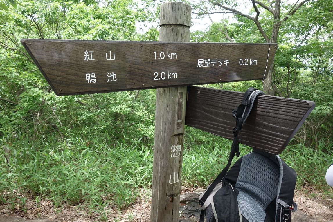 18．最高峰の惣山（小野富士）に到着