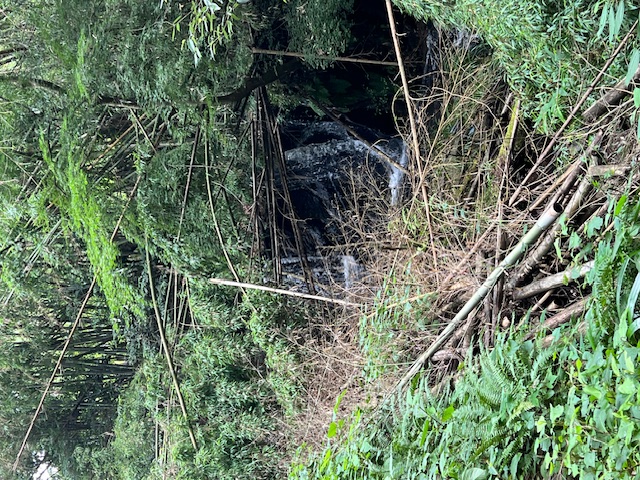 ５．忍辱山バス停から東海自然歩道に入る