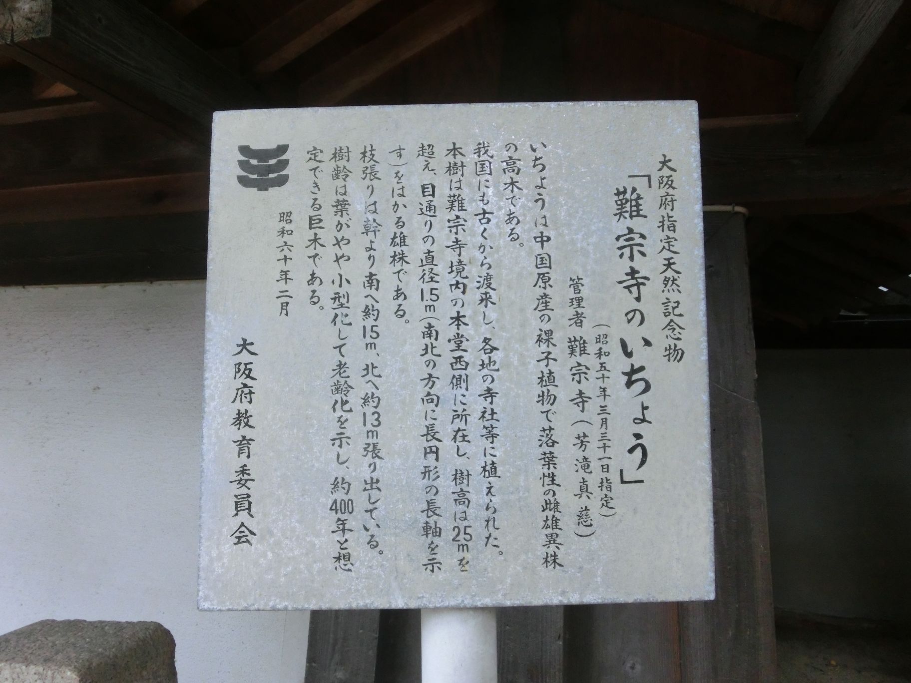 大銀杏の説明版