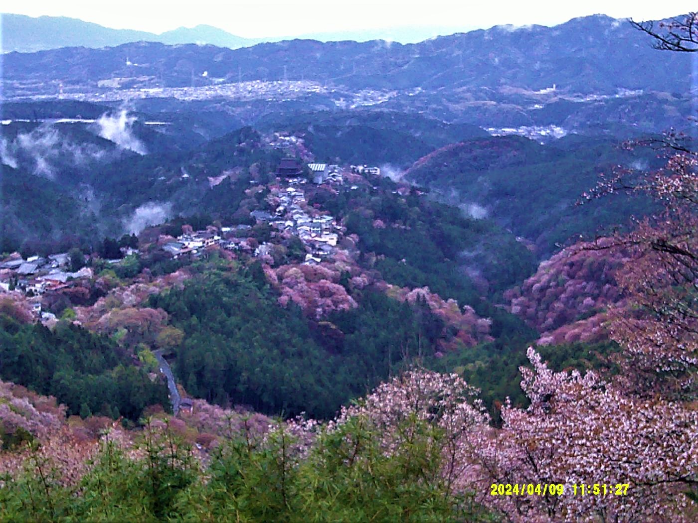１４．花矢倉からの絶景