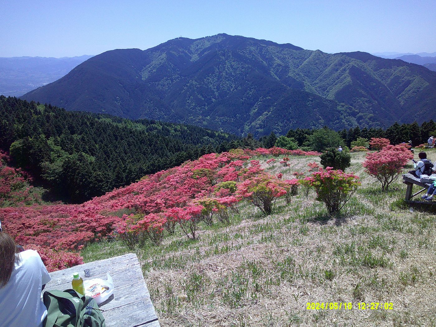 ２１．金剛山とツツジ園